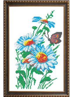 Ромашки, К4005