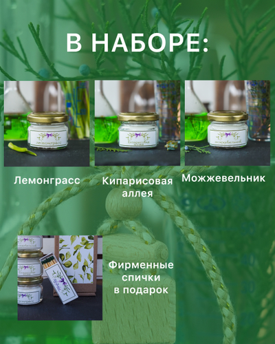 НАБОР СВЕЧЕЙ 20мл В ПОДАРОЧНОЙ КОРОБКЕ КОЛЛЕКЦИЯ «ТРАВЫ И ХВОЯ» 3 АРОМАТА