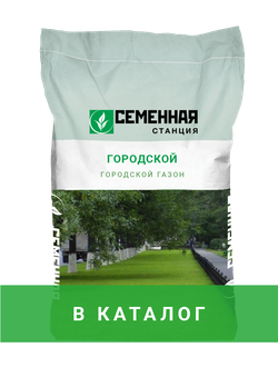 Городской газон