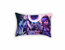 Подушки Borderlands, Бордерленд №18