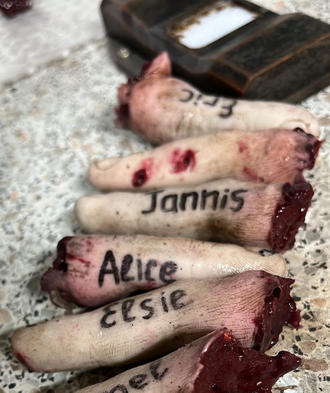 Finger scanner with fingers