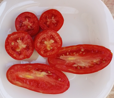 Томат Джалпа