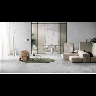 ARCTICSTONE, керамогранит, 60x60 см, Серый, Матовый (8 мм), K947900R