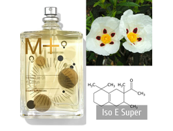 Escentric Molecules Molecule 01 + Cistus