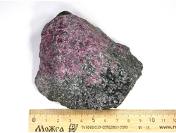 Эвдиалит в породе, Россия, Кольский п-ов, Хибины (90*80*40 мм, 355 г) №23798