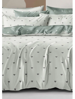 Постельное белье Cleo полутороспальное сатин 145х215х1 150х220х1 70х70х2 15/740-SL