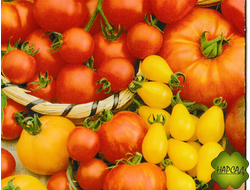 Томат "Фантазия" (высокорослый, смесь лучших сортов)
