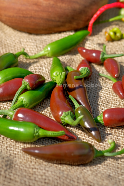 Перец острый Jalapeno Brown (Халапеньо Браун), 10 шт