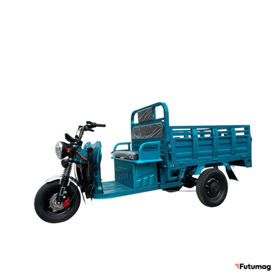 Грузовой электротрицикл Rockwild Cargo Pro Q05 60V 45AH