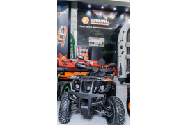 Квадроцикл BAIKAL РОСОМАХА 200