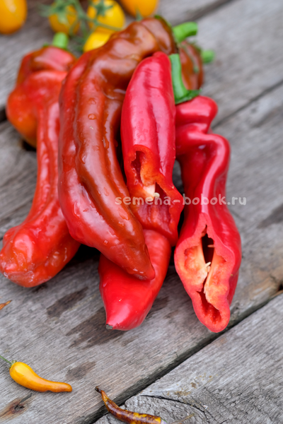 Перец сладкий Палермо Красный, 10 шт
