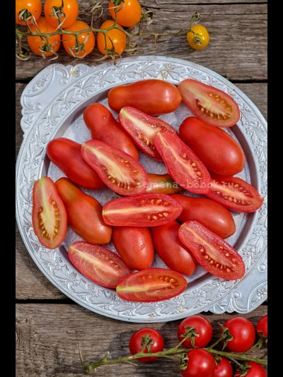 Томат Покоритель Неба (Himmelsturmer), 10 шт