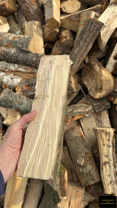 колотые дрова твердых пород навал