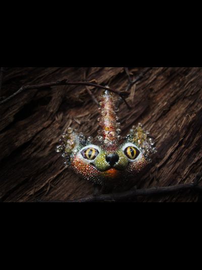 &quot;Рогтябрь, осенний лесной кот&quot;, волшебная коллекционная брошь в стиле фэнтези