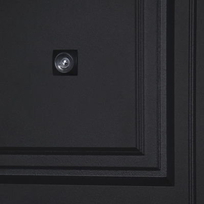 Стальная дверь   Freedom Заказная модель.