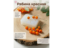Молд "Ягоды рябины"