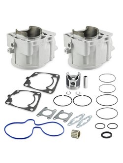 Ремкомплект цилиндров СТАНДАРТ Sledex для Polaris SM-09614K (3022663)