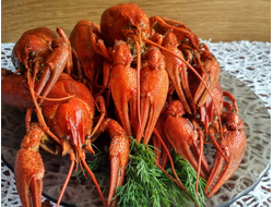 Отборные Варёные раки (70-90 грамм)