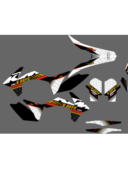 KTM 250 450 6 days #2102