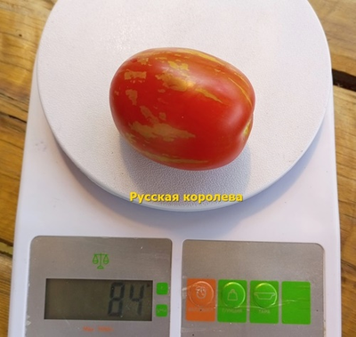 Томат Русская королева (Russian Queen)