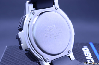 Часы Casio WS-1200H-2AVEF
