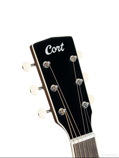Cort Exotic-GA-Walnut-SS
