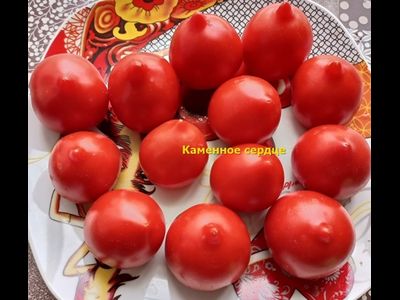 Томат Каменное сердце