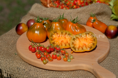 Томат Ярсон 13 (Охровая груша), 10 шт