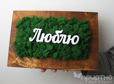 ЖИВАЯ ЭКО-КАРТИНА 1047