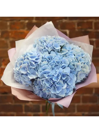 5 розовых гортензий