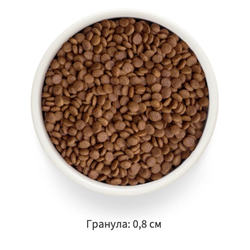 Grandorf Fresh для взрослых кошек с лососем и бататом, 400 г