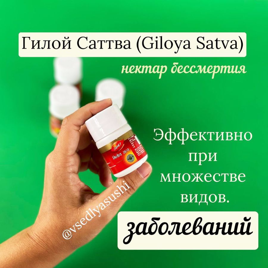 Гилой Сатва (Giloya Satva) Himalaya