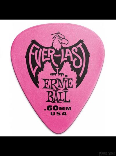 Ernie Ball 9191 Everlast