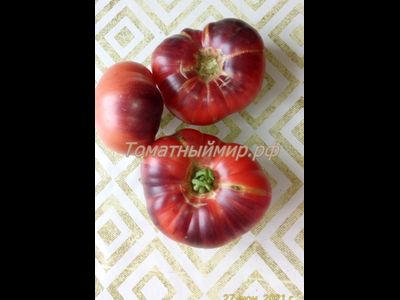 Томат Лазурный гигант (Azure Giant)