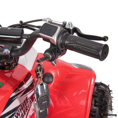 Электроквадроцикл WHITE SIBERIA SNEG LETO R 1000W Оранжевый