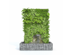растительная стена Растительная стена с фонтаном