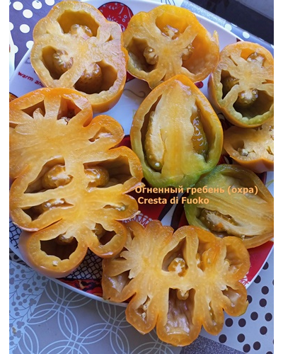 Томат Огненный гребень (охра) (Cresta di Fuoko)