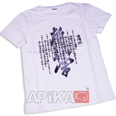 APIKA футболка с нанесением иероглиф+dodjokun