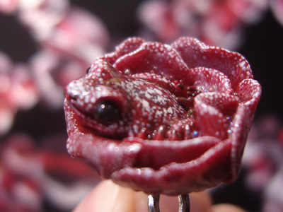 Парадное кольцо "Дикий сербарин и лягушка"