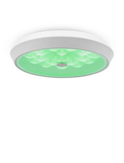 Freya, Потолочный светильник Cells, FR10012CL-L24W