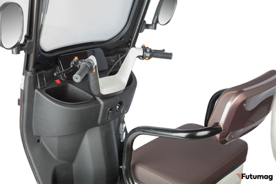 Электротрицикл Rutrike Gelbert Sarin 48V/60V 1000Вт коричнево-белый