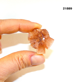 Арагонит натуральный (кристалл) арт.21889: 10,0г - 26*22*15мм