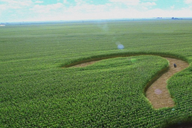 Юридическая помощь по земельным вопросам в Воронеже