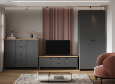 Теодора комплект мебели для гостиной Графит/Дуб крафт