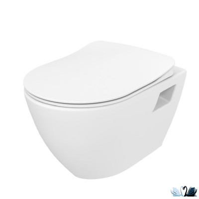 Чаша унитаза Creavit Terra TP329-11CB00E-0000 (TP329.00100), подвесная, безободковая