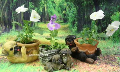 Кашпо Ротвеллер с чашей  11*21см  полистоун Россия 780//011076*