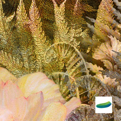 Постер на стену  «Лесной цветок»  из коллекции «Цветы»