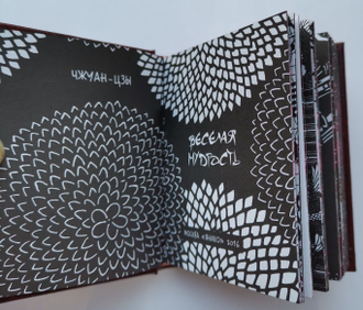 Чжуан-Цзы "Веселая мудрость"