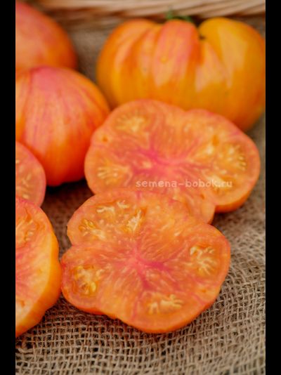 Томат Огненный Поцелуй Биколор с носиком, 10 шт