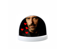 Водяной шар Доктор Хаус №25